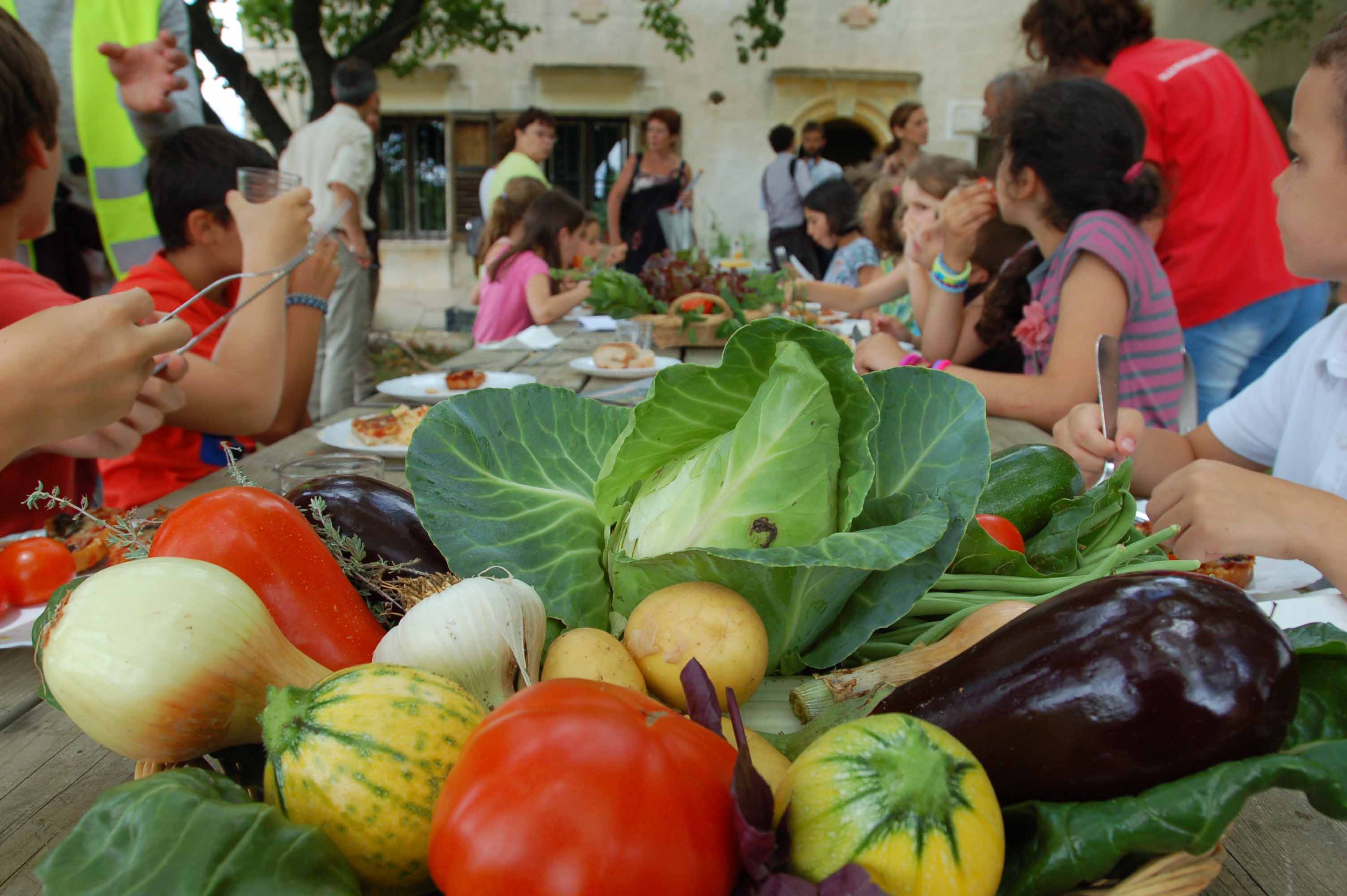 Cuisiner bio et local en collectivité